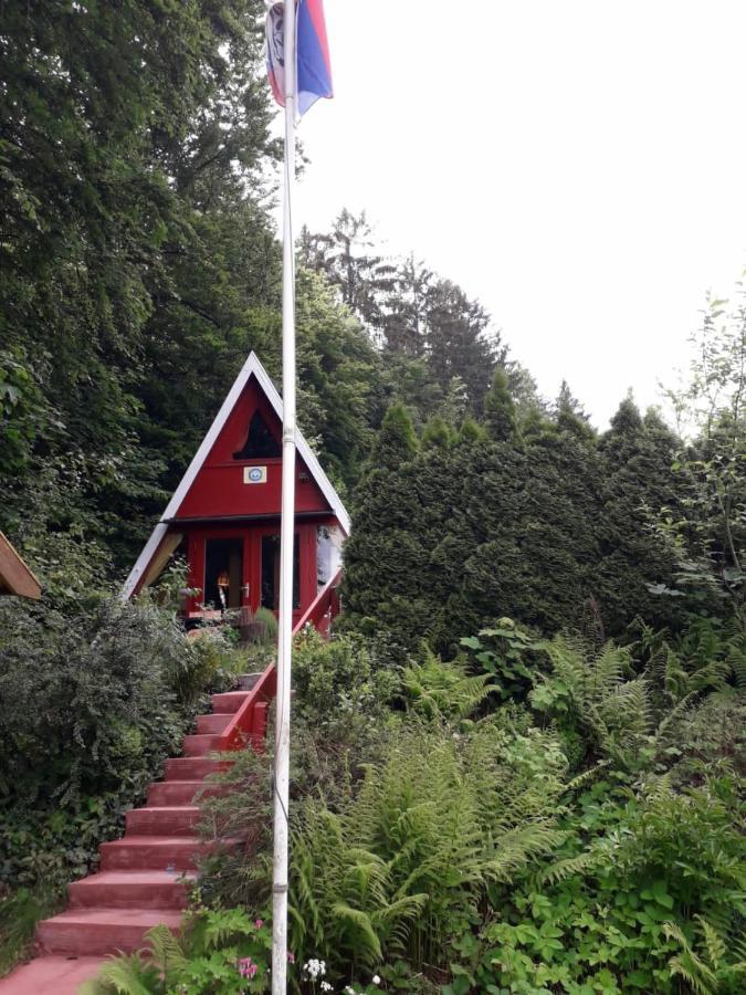 Ferienhaus Sommerland Auszeithuette Freyung Exterior foto